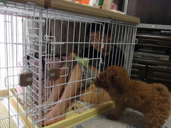 20100615_01.jpg
