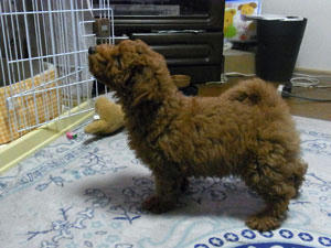 20100611_02.jpg