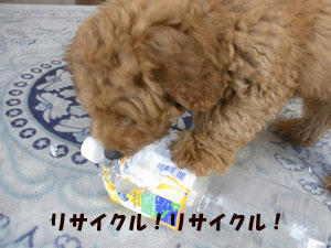 20100630_02.jpg