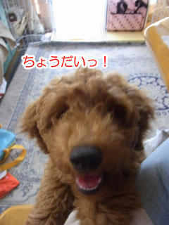 20100630_03.jpg