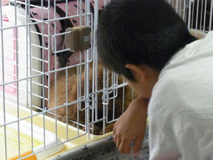20100703_01.jpg
