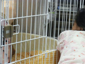 20100703_02.jpg