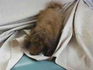 20100708_05.jpg