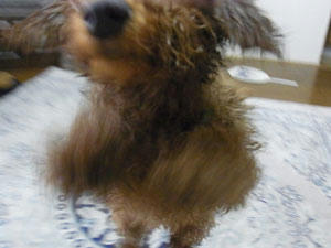 20100708_06.jpg