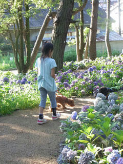 20100712_01.jpg