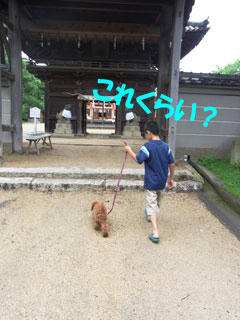 20100714_02.jpg