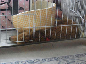 20100807_01.jpg