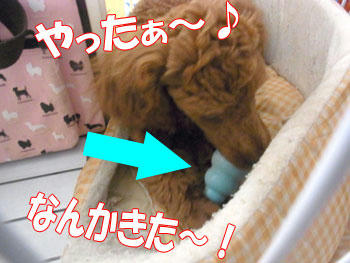 20100810_02.jpg
