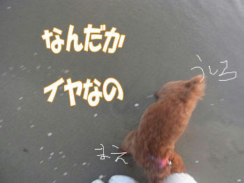 20100815_03.jpg