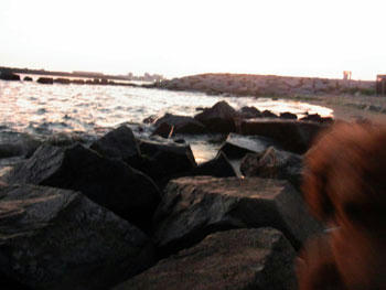 20100815_05.jpg