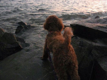 20100815_07.jpg