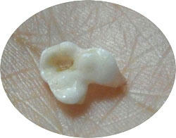 20100816_02.jpg