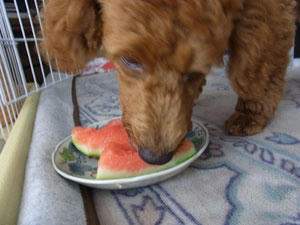 20100824_01.jpg