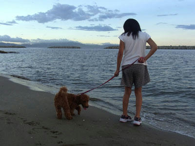 20100830_01.jpg
