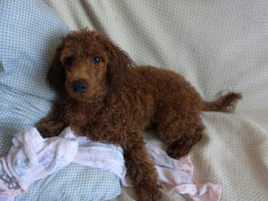 20100903_01.jpg