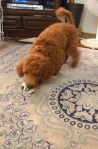 20100909_01.jpg