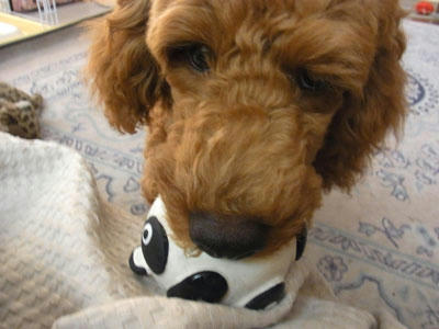 20100909_02.jpg