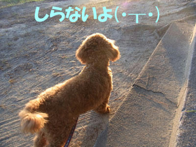 20100909_03.jpg