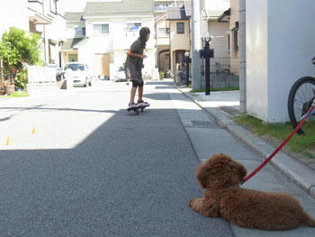 20100919_02.jpg