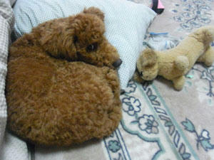 20101003_02.jpg