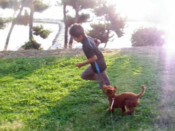 20101007_01.jpg