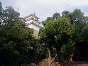 20101016_03.jpg