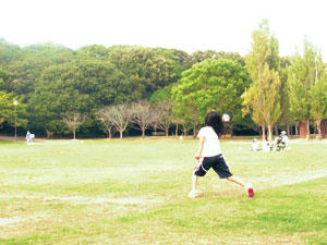 20101016_04.jpg