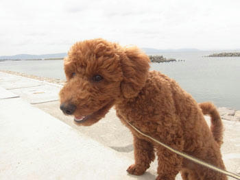 20101022_02.jpg