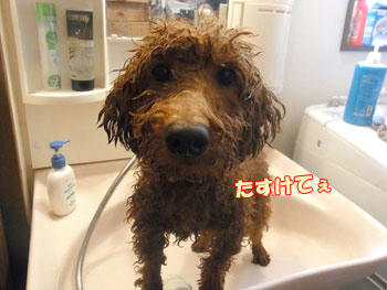 20101023_01.jpg