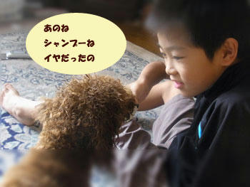 20101023_02.jpg