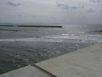 20101102_01.jpg