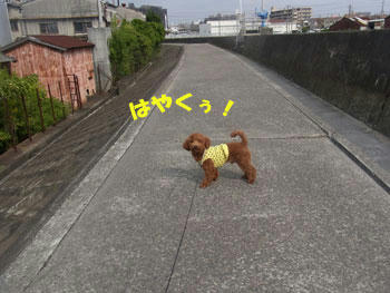 20101102_04.jpg