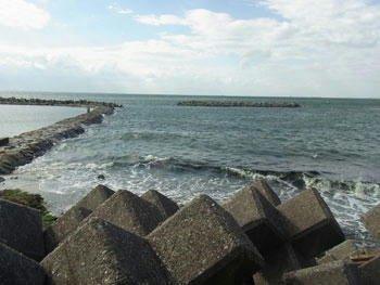 20101110_01.jpg