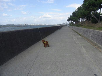 20101110_02.jpg