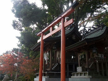 20101112_03.jpg