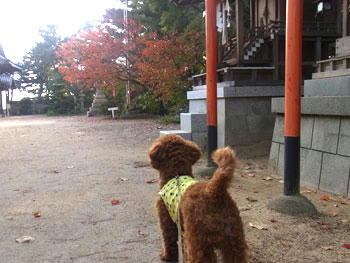 20101112_05.jpg