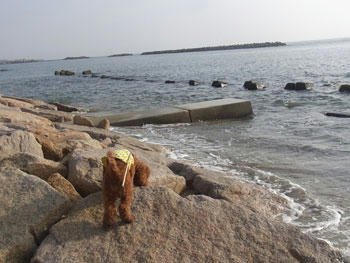 20101112_07.jpg