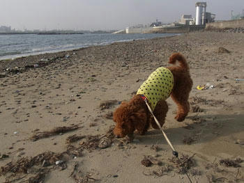 20101112_08.jpg