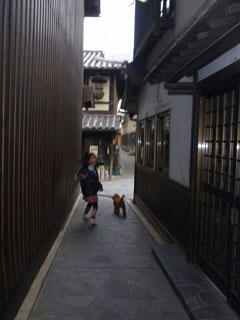 20101114_03.jpg
