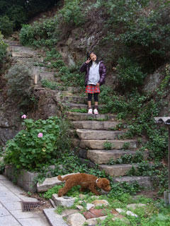20101114_11.jpg