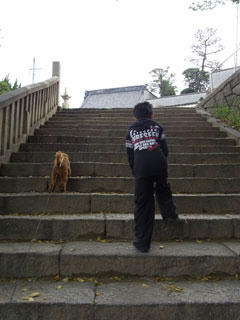 20101114_12.jpg