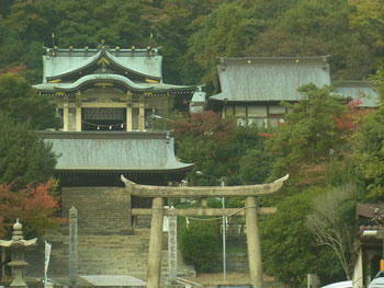 20101114_15.jpg