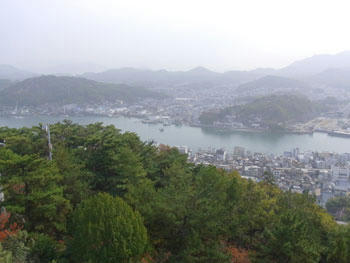 20101114_32.jpg