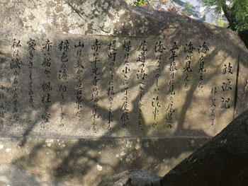 20101114_34.jpg