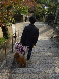 20101114_40.jpg