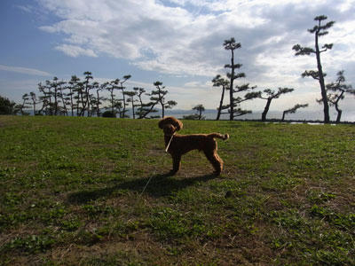 20101117_01.jpg