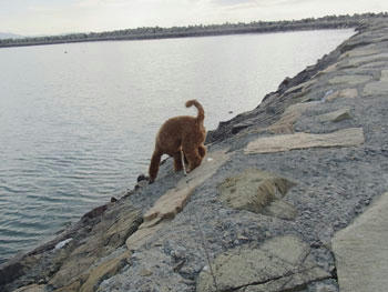 20101117_02.jpg