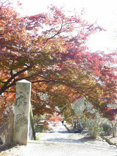 20101127_01.jpg