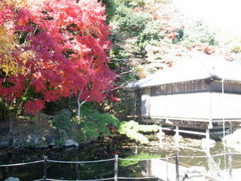 20101127_02.jpg
