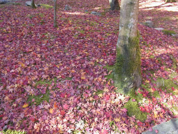 20101127_05.jpg